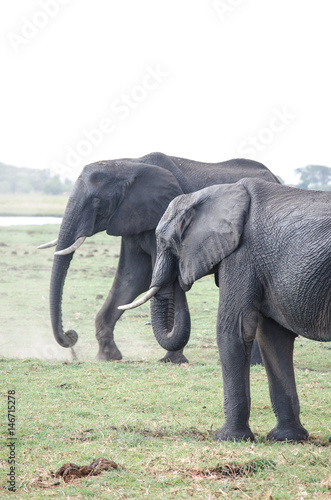 Nature in Africa