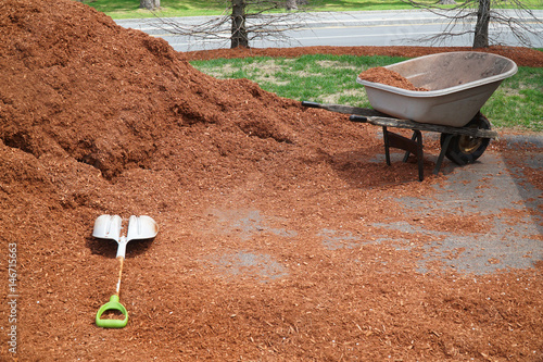 wheelbarrow and shovel with mulch pile for spring gardening work photo