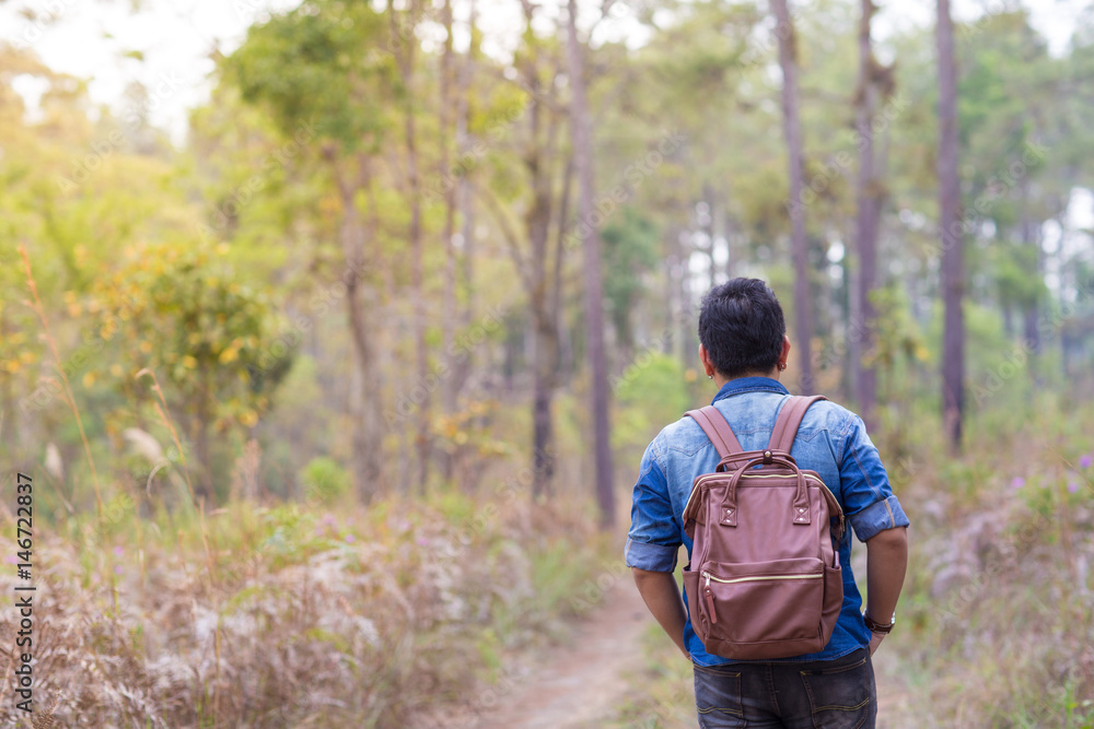 Fototapeta premium A male traveller with his sunglasses and backpack in the pine forest, Thailand
