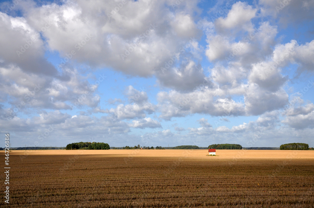 Autumn rural landscape. After harvesting field plowed and prepared for the next season.