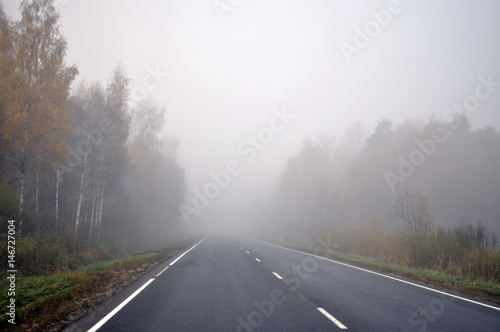 Autumn scene. Fogbound road through the autumn forest.