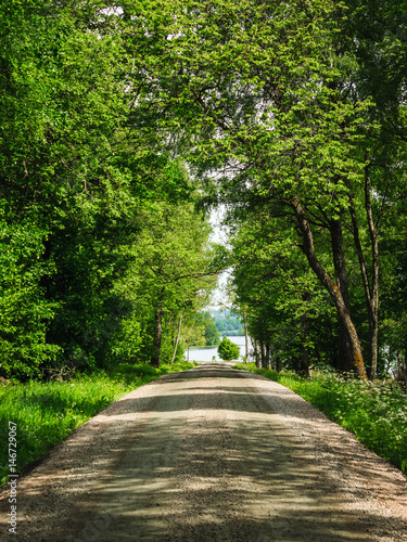 Landstraße durch den Wald