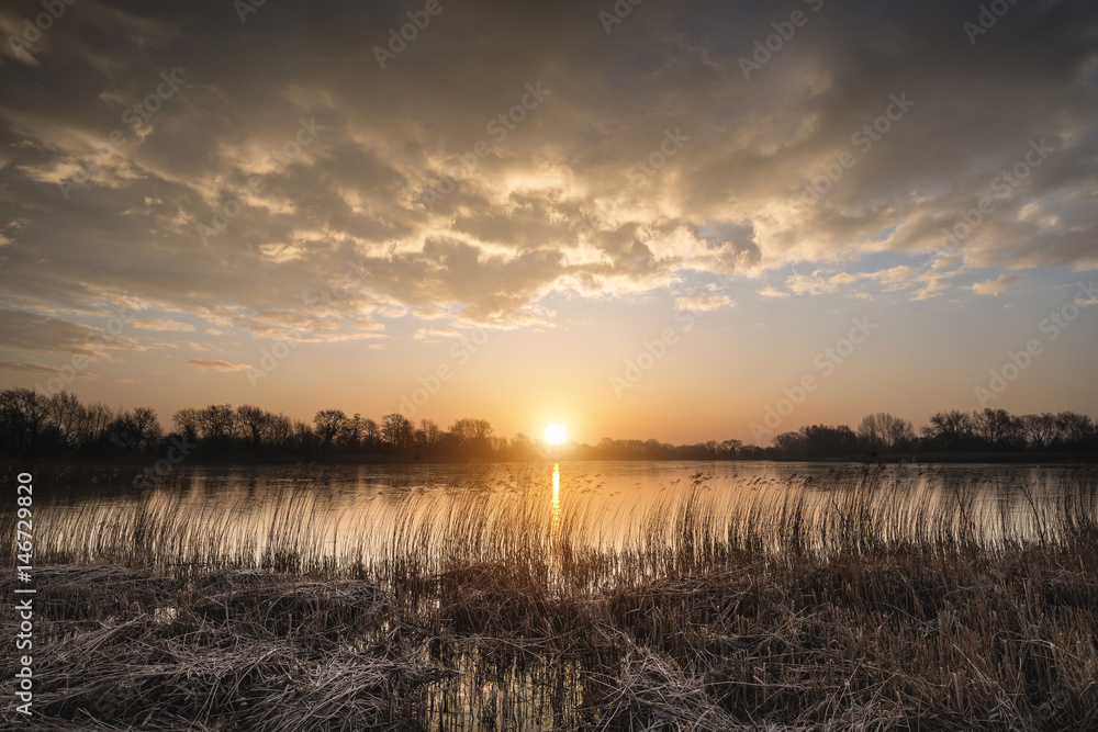 Stunning colorful Winter sunrise over reeds on lake in Cotswolds in England