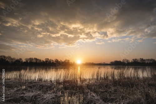 Stunning colorful Winter sunrise over reeds on lake in Cotswolds in England