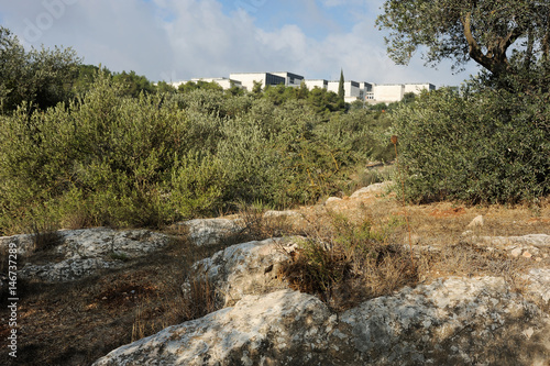 Park in Jerusalem