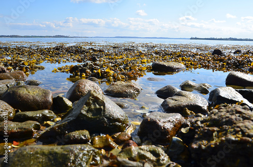 Nordseeküste und Schifffahrt