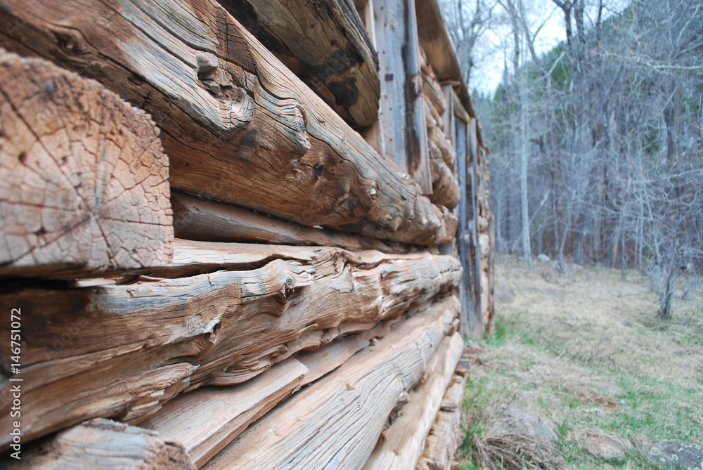 Fototapeta premium cabin wall