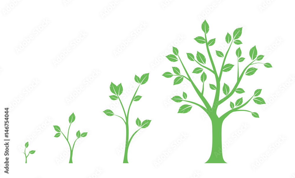 Green icons - stages of tree growth on white background
