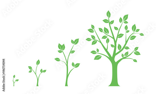 Green icons - stages of tree growth on white background