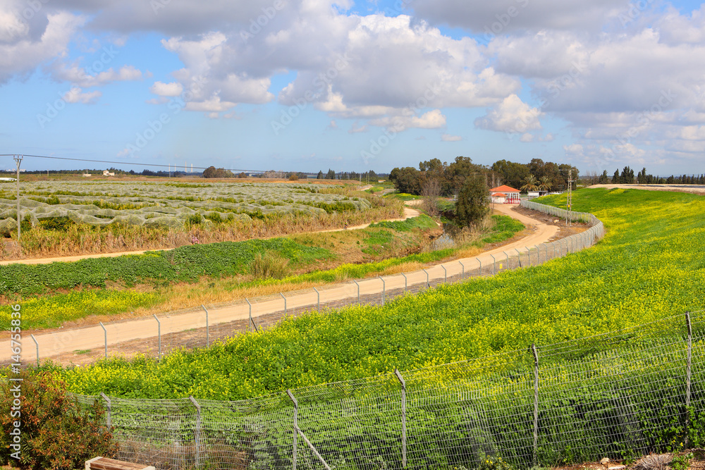 Early spring in Israel. Countryside with green field and rural curving road