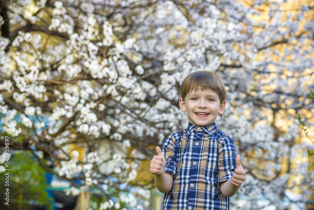 toddler boy in spring time near the blossom tree smiling happy boy toddler boy in spring time near the blossom tree smiling happy boy