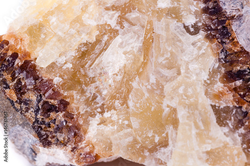 macro mineral stone hedenbergite on a white background photo