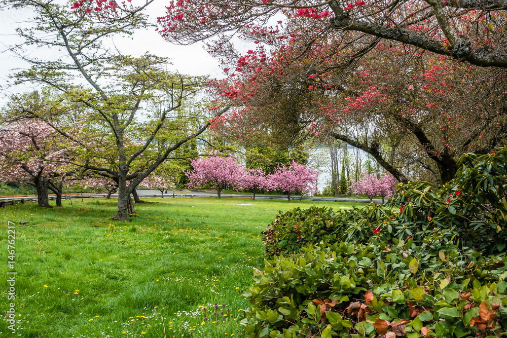 Naklejka premium City Park In Springtime 2