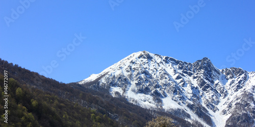 Mountain landscape. Snowy mountain peak and green slope.