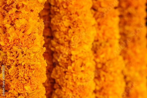 Marigold garland at Bangkok flower market. Selective focus. Bright floral background. Yellow orange colored flower texture with room for text.