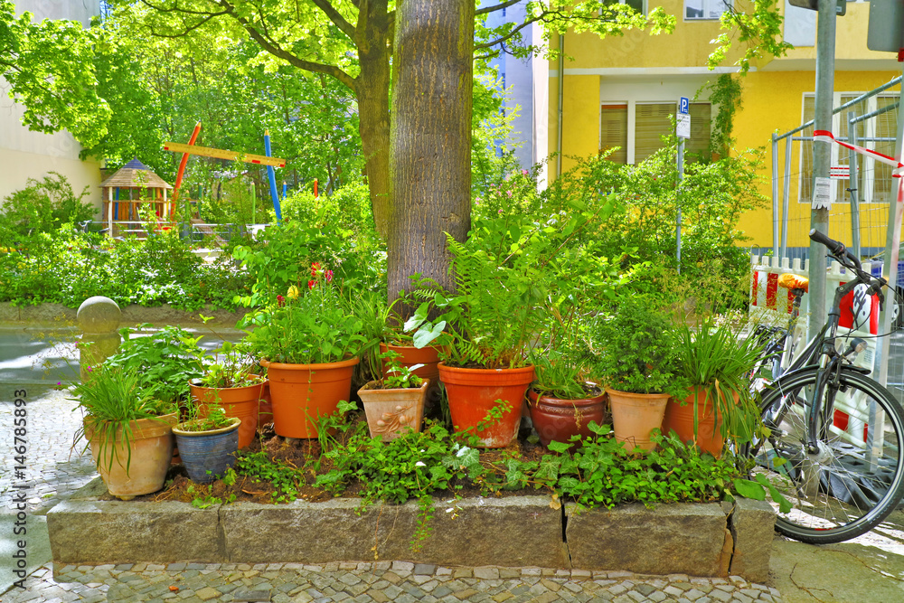Buntes Blumenbeet / Urban Gardening