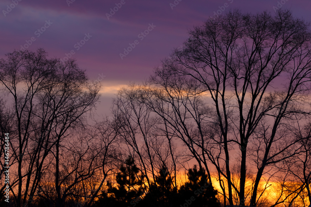 Obraz premium fire in the sky