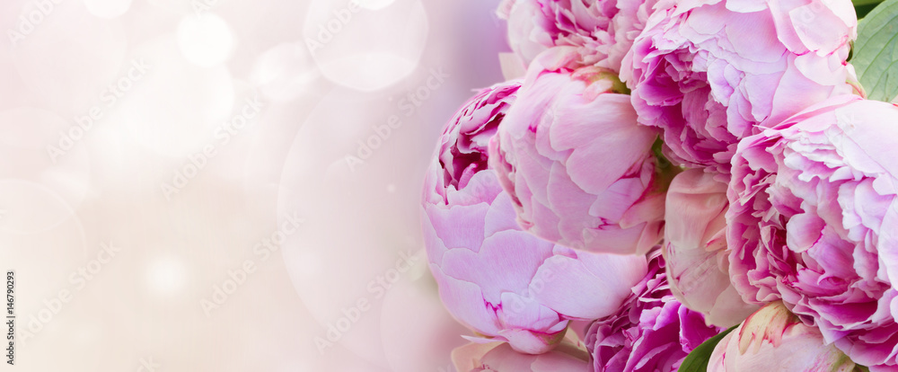 Fototapeta bukiet kwiatów różowe piwonia na fantazyjne bokeh transparent tło