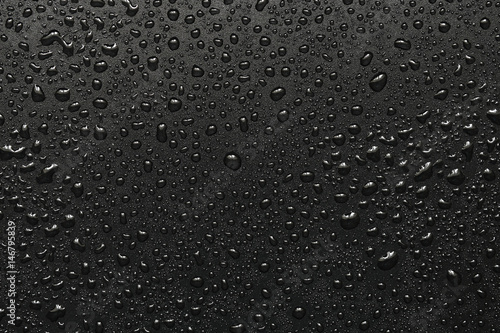 Stampa su Tela Drops of water on a black surface