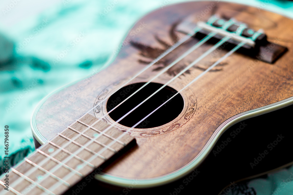 Obraz premium Ukulele. Hipster background. Music concept.