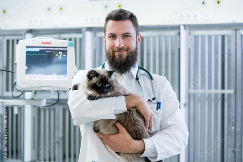 Fototapeta Naklejka Na Ścianę i Meble -  Veterinarian pet doctor holding cat patient in his animal clinic