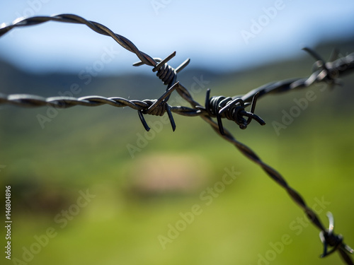 Barbed wire photo