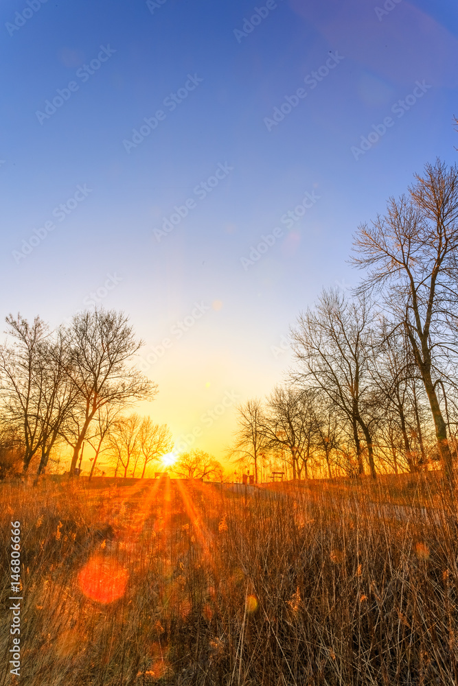 Fototapeta premium Sunrise at Humber Bay Park, Toronto, Ontario, Canada