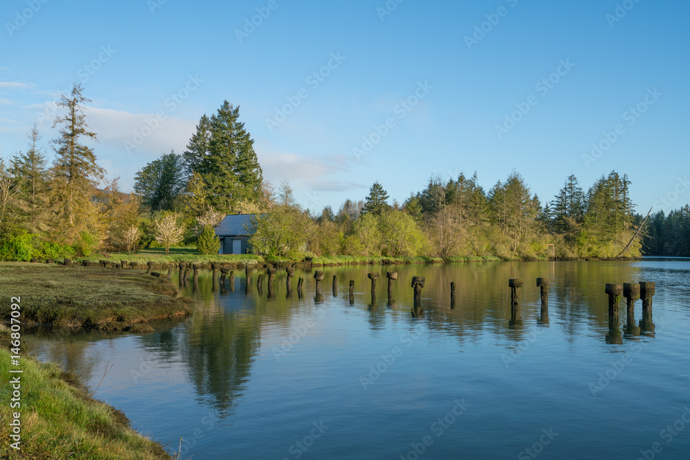 Fototapeta premium Mud Bay Morning