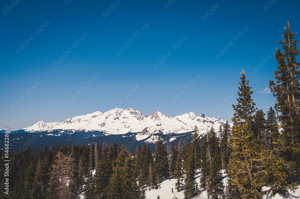 snowy mountain landscape with pine trees and blue sky