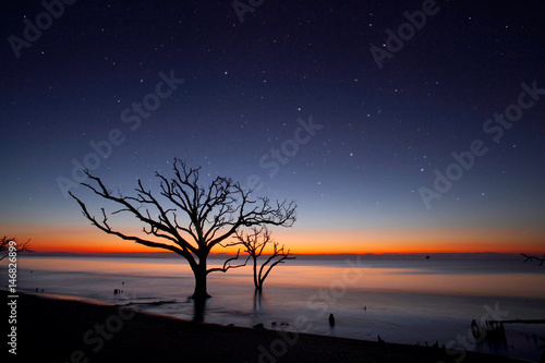 Dawn at Botany Bay Wildlife Preserve, SC