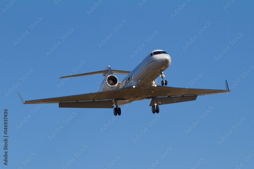 Naklejka premium Landung