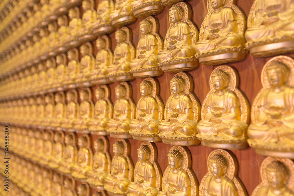 The buddha statue on wall