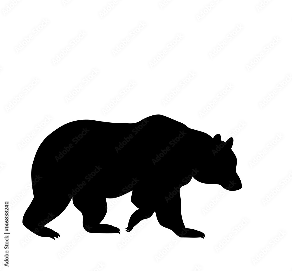 Fototapeta premium silhouette of a running bear