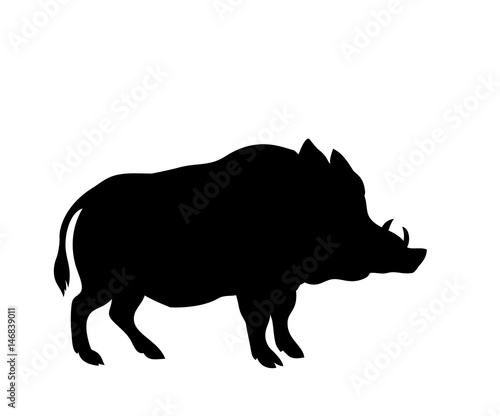 Leinwand Poster silhouette of a standing boar