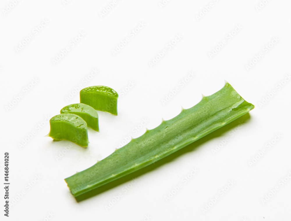 Slice Aloe Vera on white background Slice Aloe Vera on white background