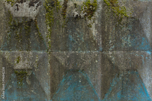 Mold and moss on a fence, vintage wall