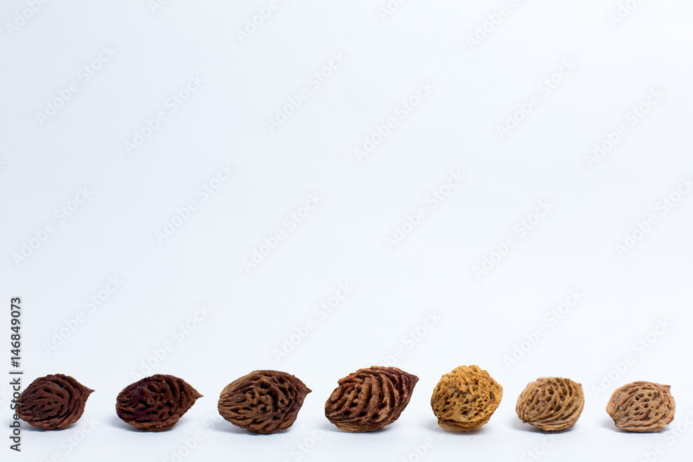 Fruit seeds on a light background Fruit seeds on a light background