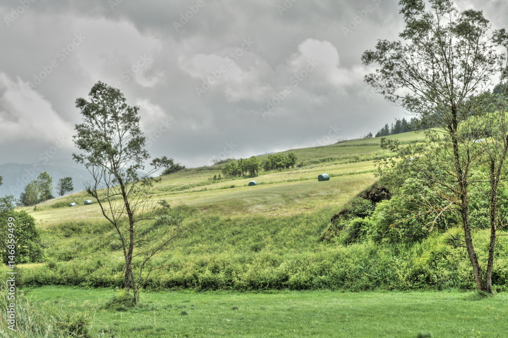 Prairie dans les Pyrénées ariégeoises, Occitanie dans le sud de la France