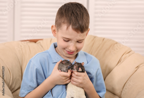 Cute boy with funny rats at...
