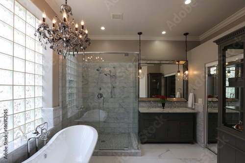 Luxury Master Bathroom - Landscape