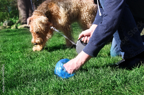 Man  Picking up / cleaning up dog droppings