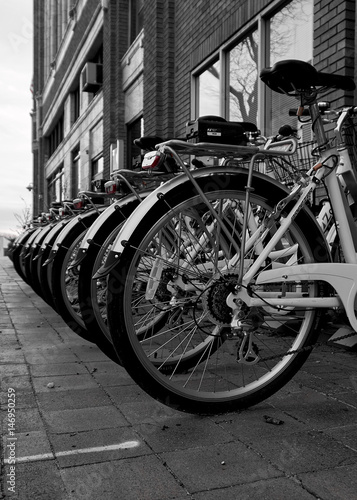 Bikes in a Row © lori