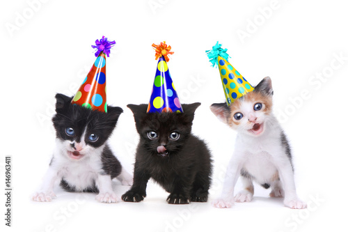 Fototapeta Naklejka Na Ścianę i Meble -  Birthday Song Singing Kittens on White Background
