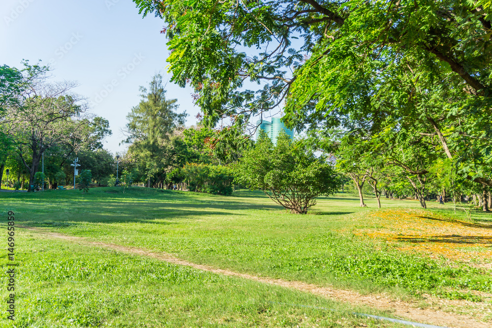 Fototapeta premium Beautiful Public green park in Autumn at Vachirabenjatas Park (Rot Fai Park) Bangkok, Thailand.