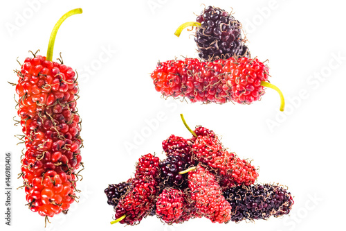 mulberry isolated on the white background