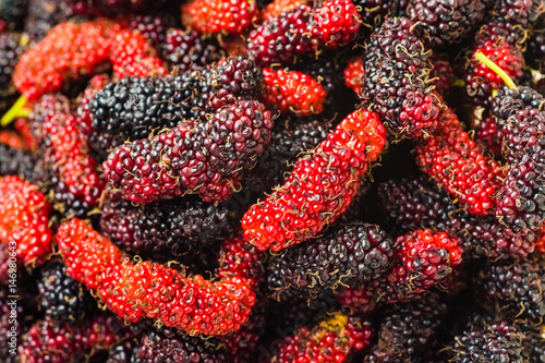 mulberry isolated on the white background
