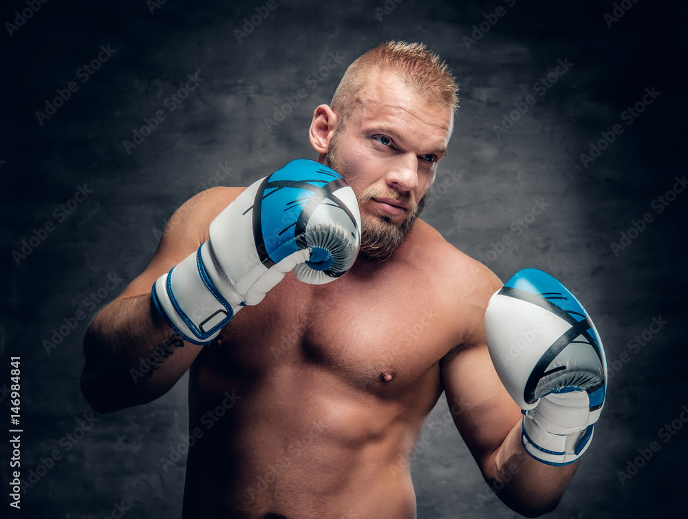 Studio portrait of bearded aggressive boxer in action over grey background.