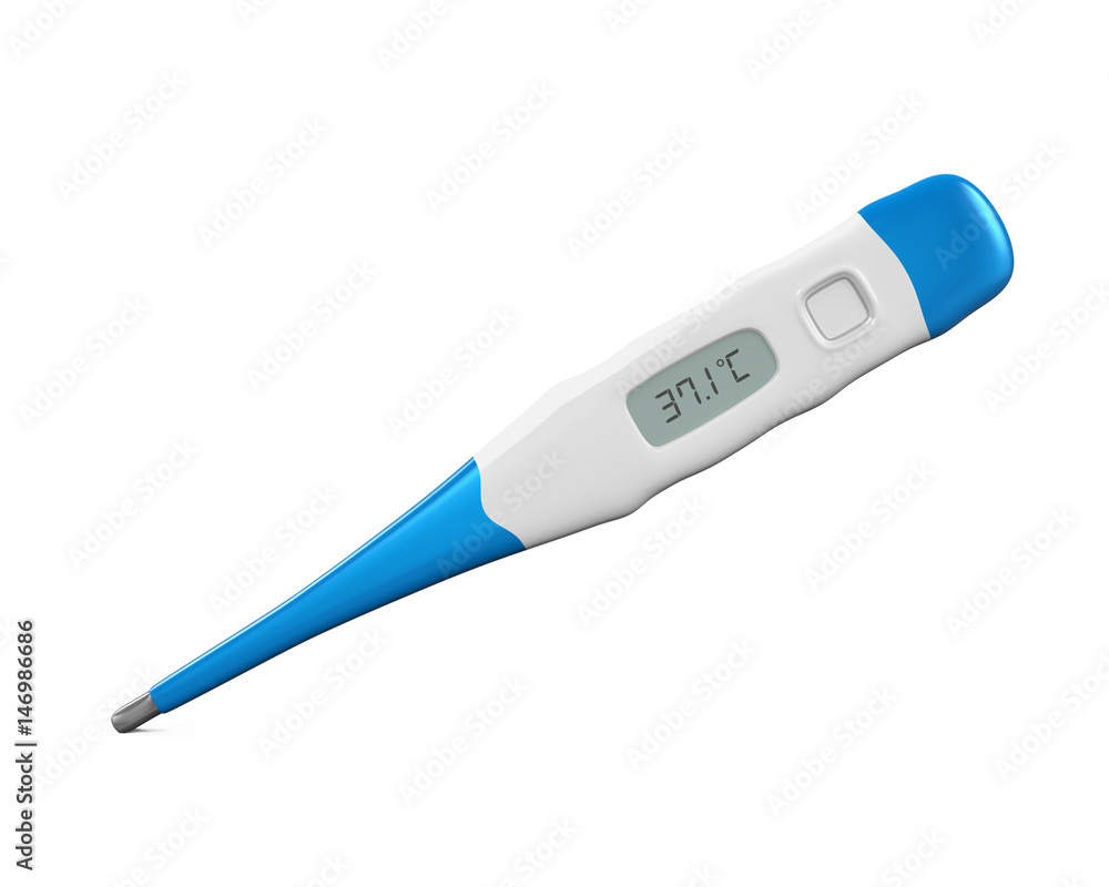 Digital Thermometer Isolated Digital Thermometer Isolated