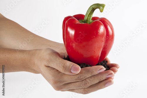 Holding a red bell pepper