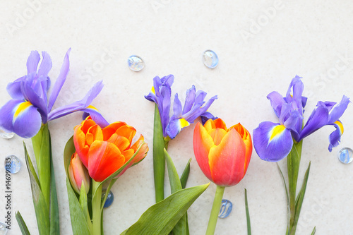 Fototapeta Naklejka Na Ścianę i Meble -  Floral background of tulips and irises